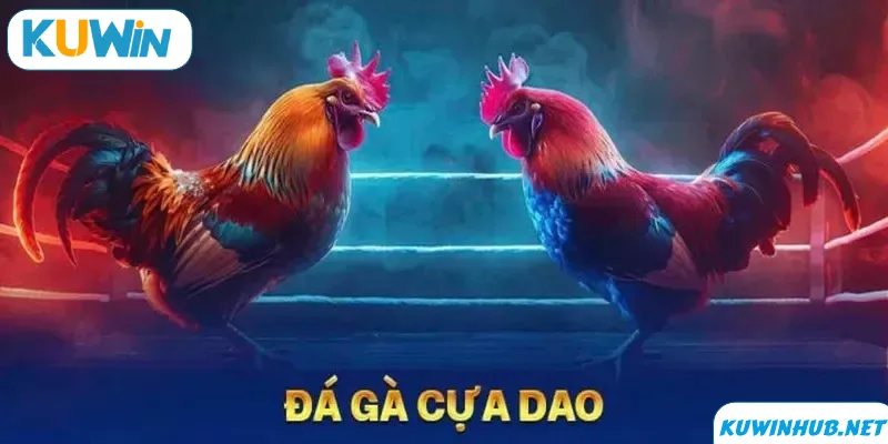 Đá gà cựa dao là gì