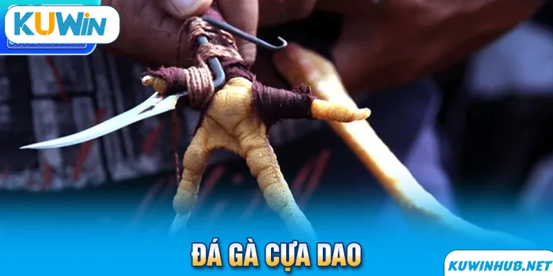Luật chơi đá gà cựa dao
