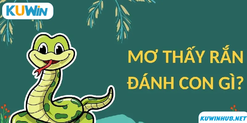 Các con số may mắn đi chung với nằm mơ thấy rắn