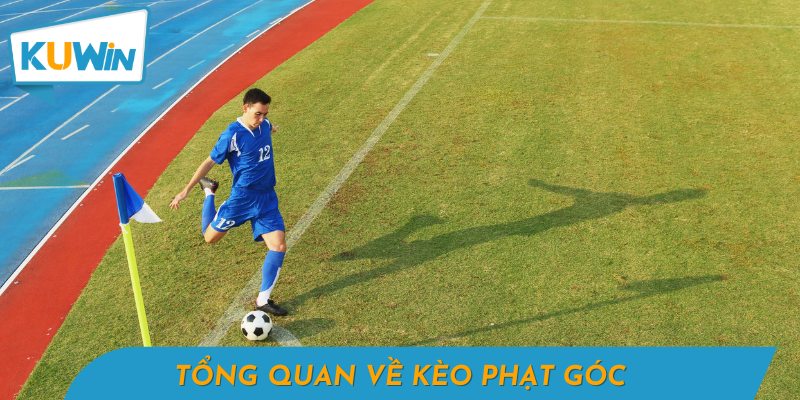 Giới thiệu sơ lược về kèo phạt góc trong bóng đá