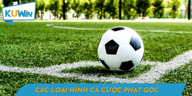 Người chơi có nhiều lựa chọn đa dạng khi tham gia kèo phạt góc