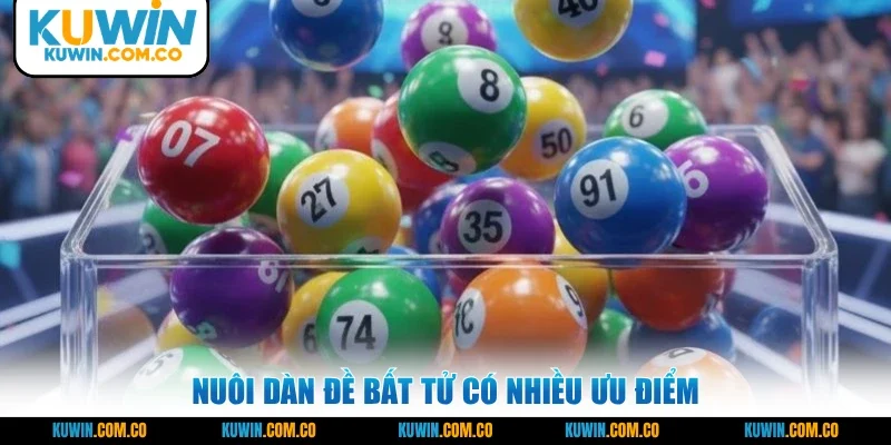 Nuôi dàn đề bất tử có nhiều ưu điểm